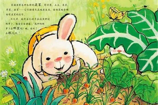 爷爷的菜园