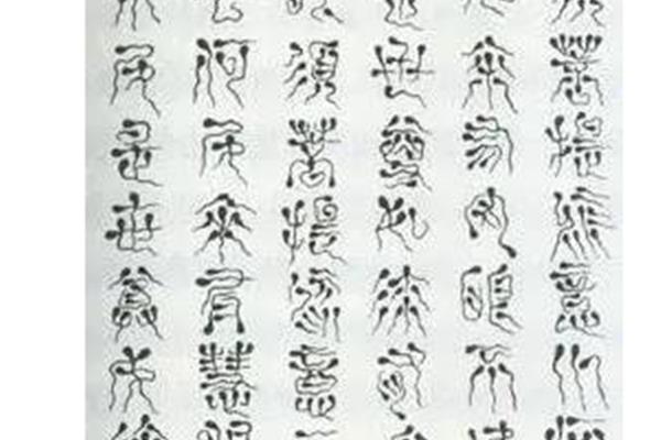 博大的意思