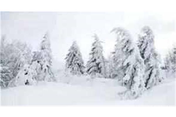 冬天雪景作文