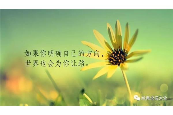 心情很失落的句子