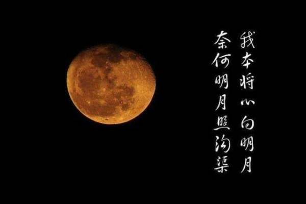 与明月有关的诗句