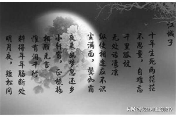 与明月有关的诗句