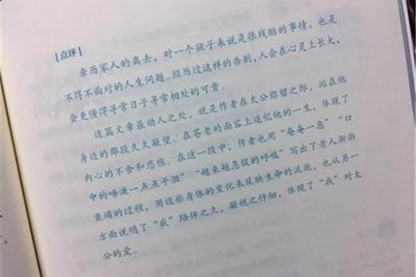 是也是造句