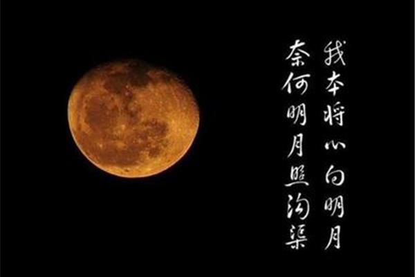 与明月有关的诗句