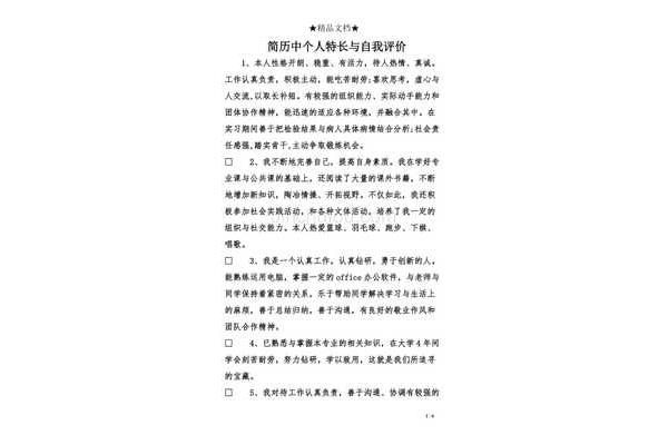 个人能力简述