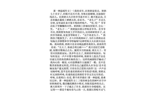 那一种温暖作文