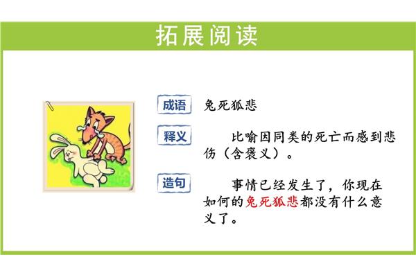 含有兔的成语