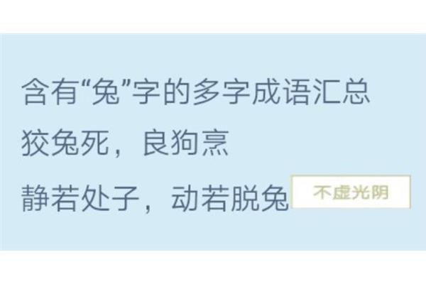 含有兔的成语