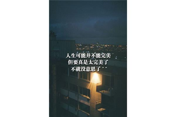 人生不完美
