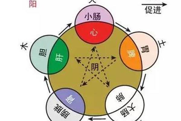 中医五行学说