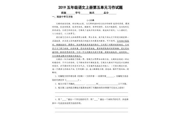 第五单元习作