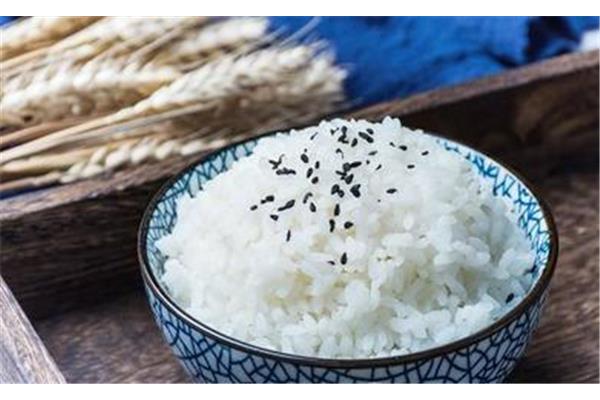 每天吃米饭会胖吗