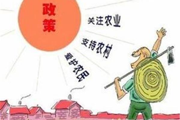 农村税费改革