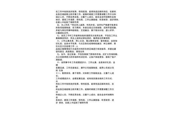 优秀团队评语
