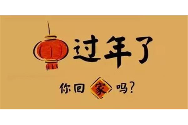 还有几天过年