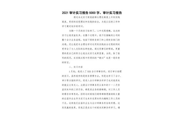 审计实习报告
