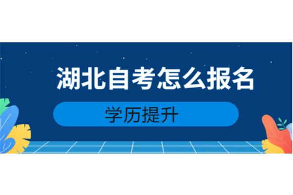 自考怎么报名