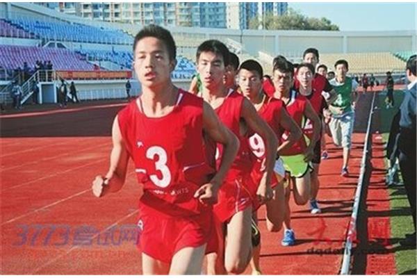 中考体育考什么