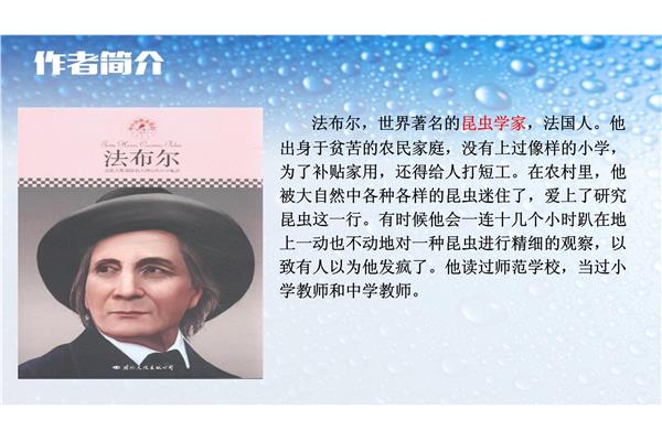 法布尔作者简介