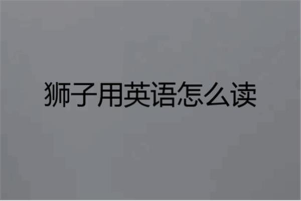 狮子用英语怎么读