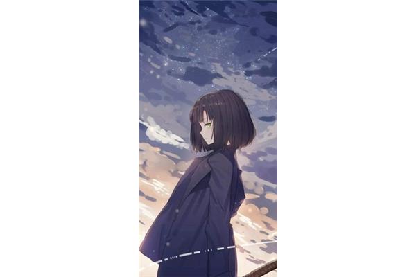 一叶一追寻
