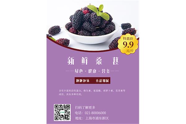 桑葚酒的作用