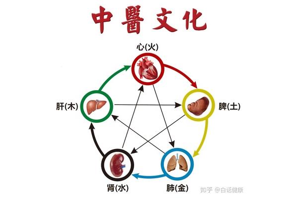 中医五行学说