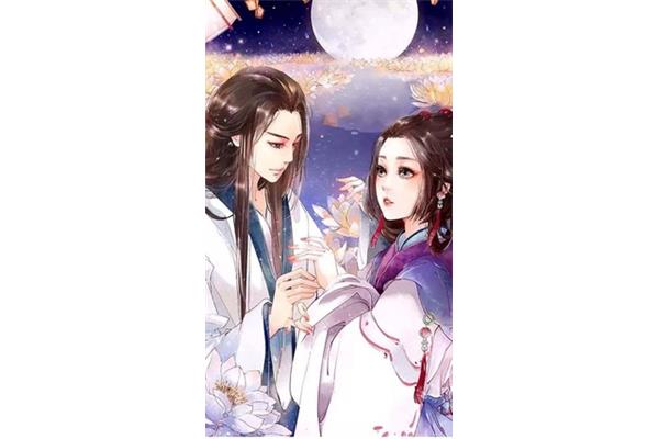 一叶一追寻