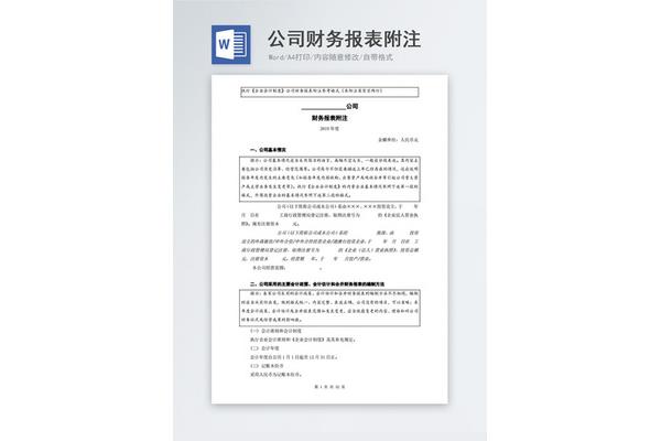 财务报表附注模板