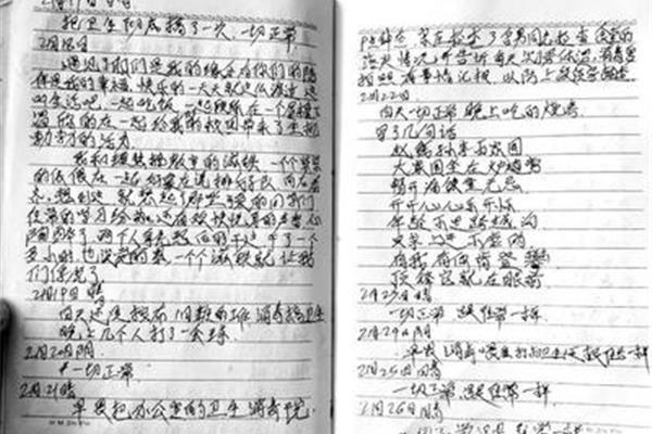 每天一篇日记