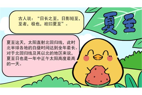 夏至手抄报