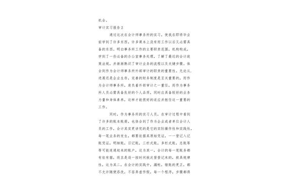审计实习报告