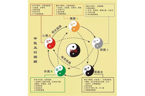 中医五行学说