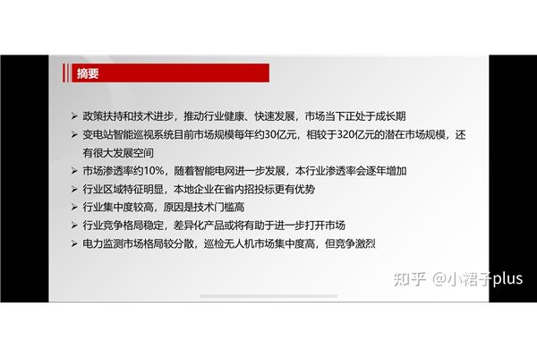 案例摘要怎么写