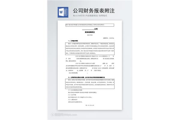 财务报表附注模板