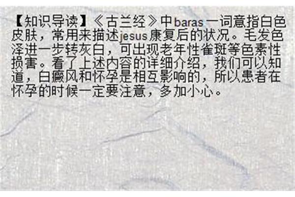 描写分为哪几种