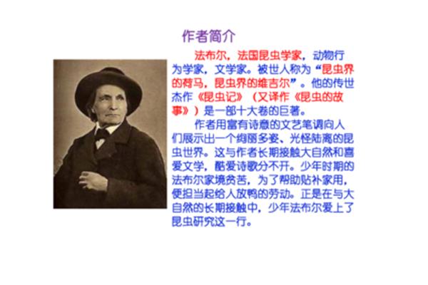 法布尔作者简介