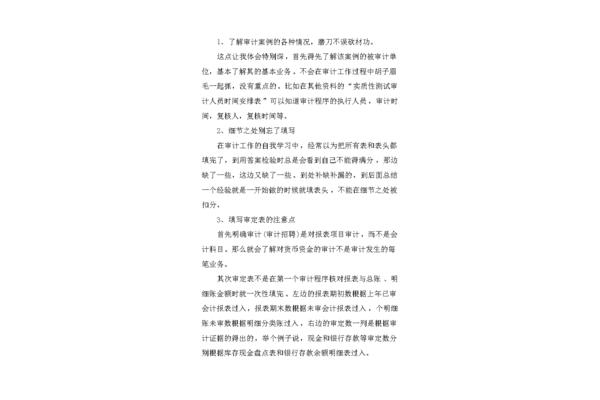 审计实习报告