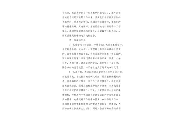 审计实习报告