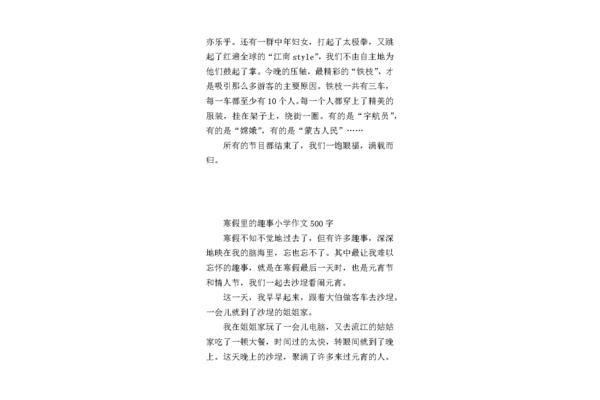 作文寒假趣事
