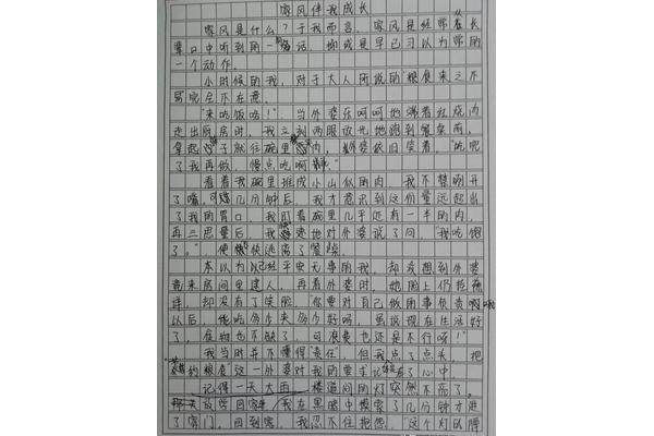 家风伴我成长作文