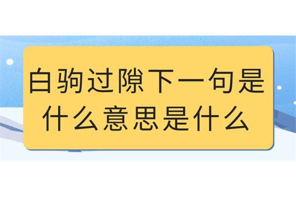 沉沦什么意思