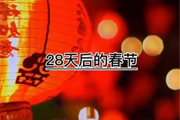 还有几天过年