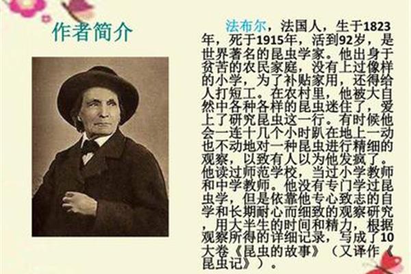 法布尔作者简介