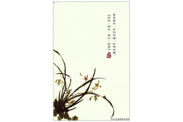 诗经最美的十首诗