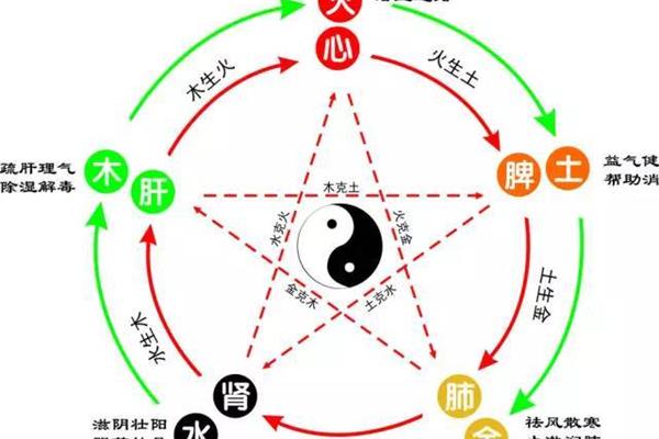 中医五行学说