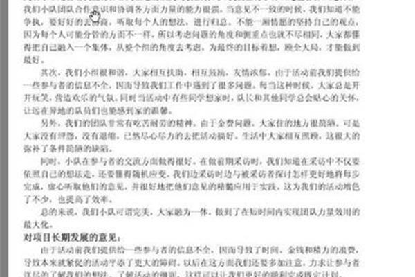 优秀团队评语