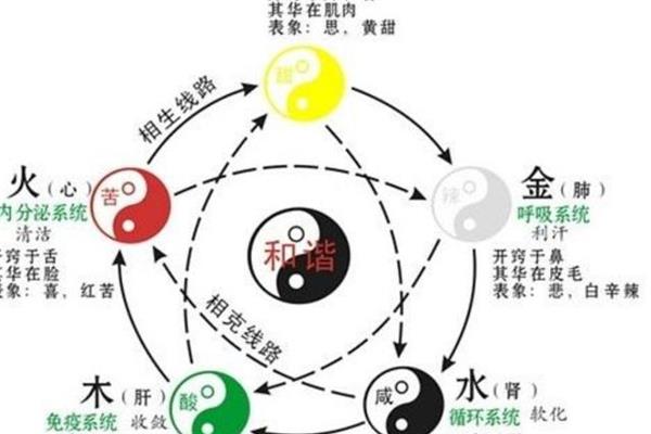 中医五行学说