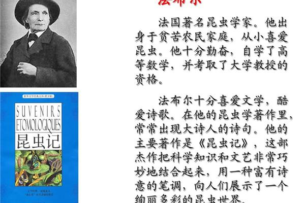 法布尔作者简介