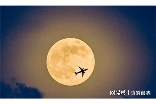 圆月像什么